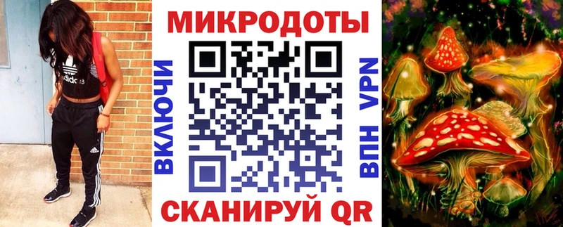 Галлюциногенные грибы ЛСД  Купить закладки  Стародуб 